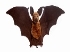 Plush Bat Doll Soft Simulation Stuffed Animal Collection Toys Bat with  Wings Christmas Gift for Boys Girls Kids 27*9"|toy bat|stuffed animal  toysanimal toys - AliExpress